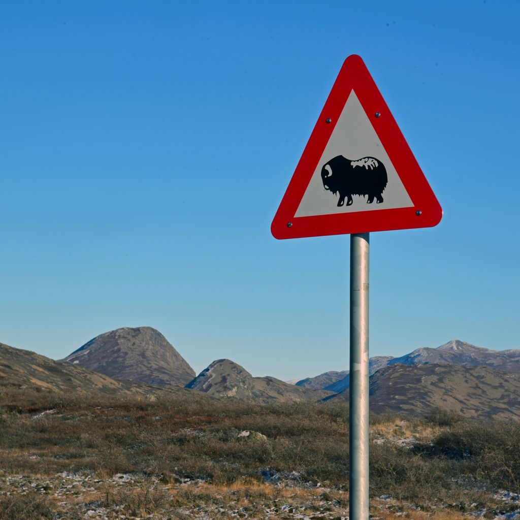 In der Nähe vom Flughafen Kangerlussuaq