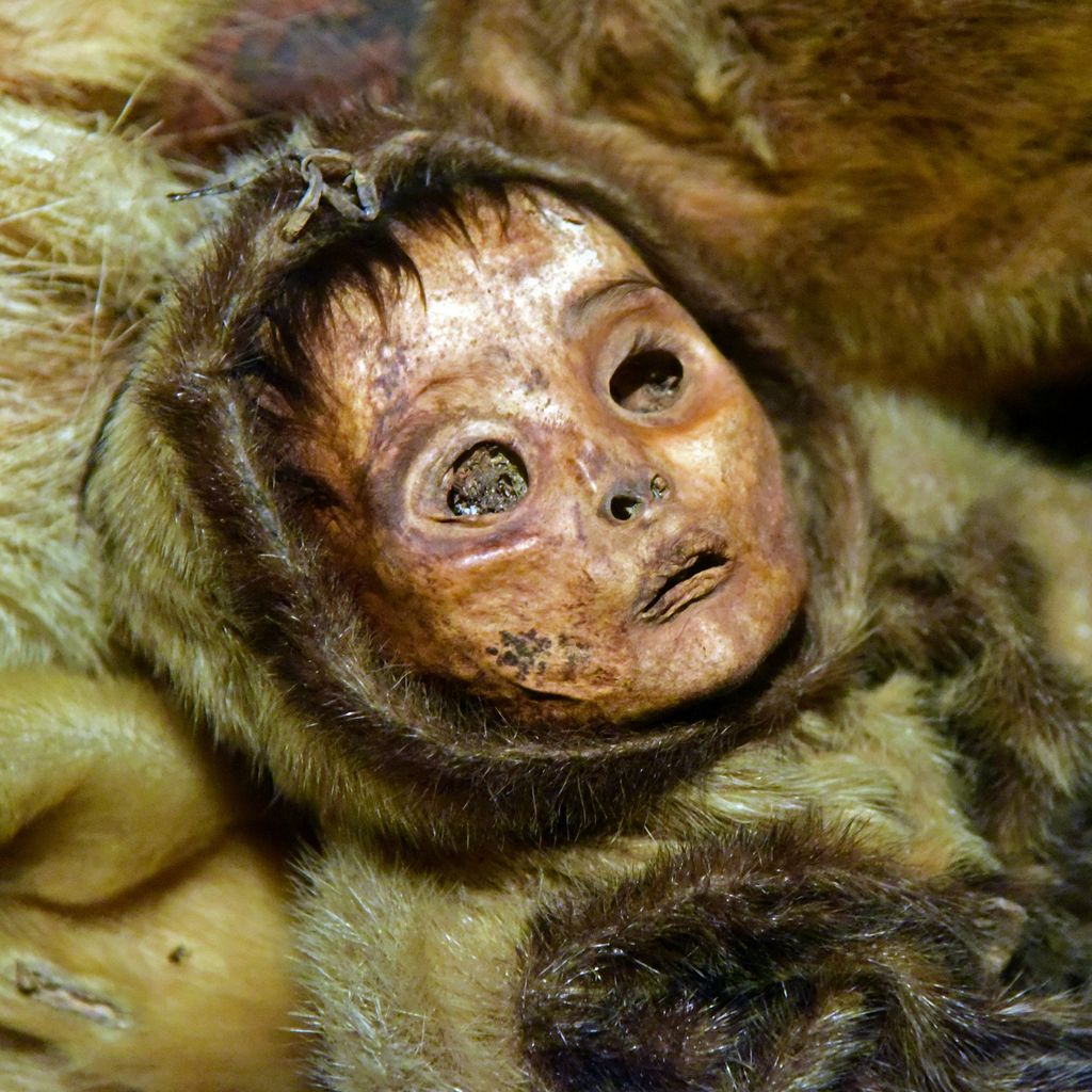 Die Qilakitsoq-Mumien, Greenland National Museum, Nuuk