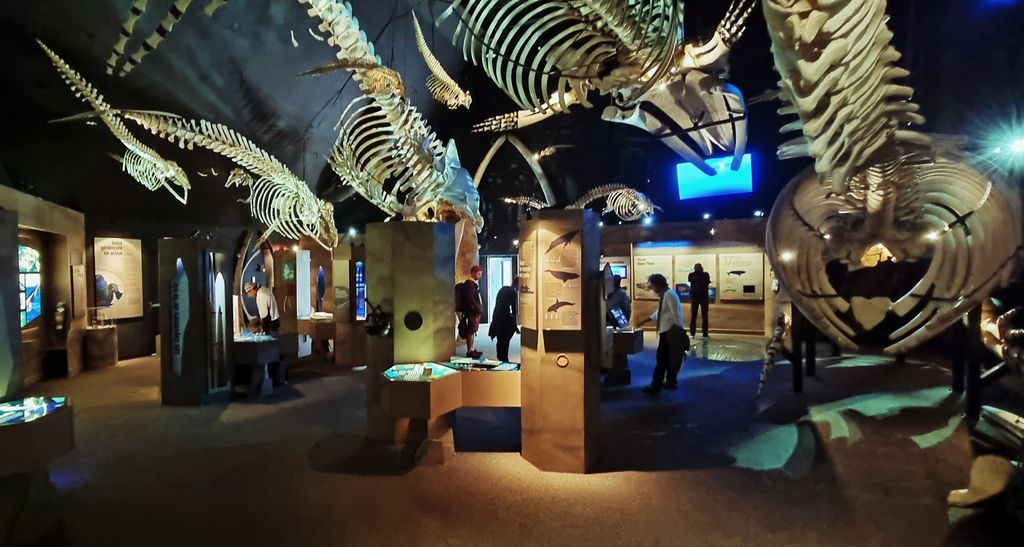 Im Marine Mammal Interpretation Centre in Tadoussac