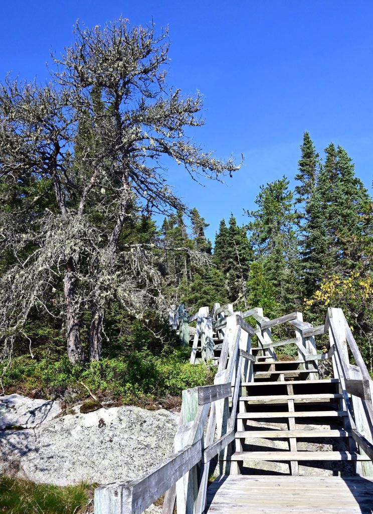 Stufen im Pointe de l'Islet Trail in Tadoussac