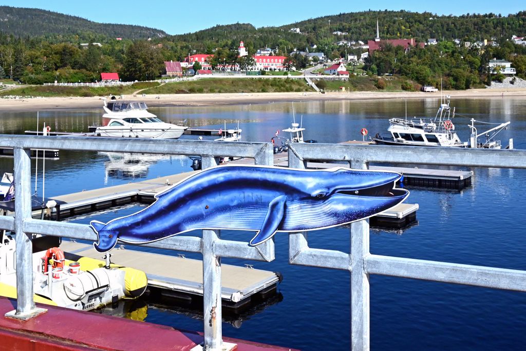 Wal-Schild im Hafen von Tadoussac