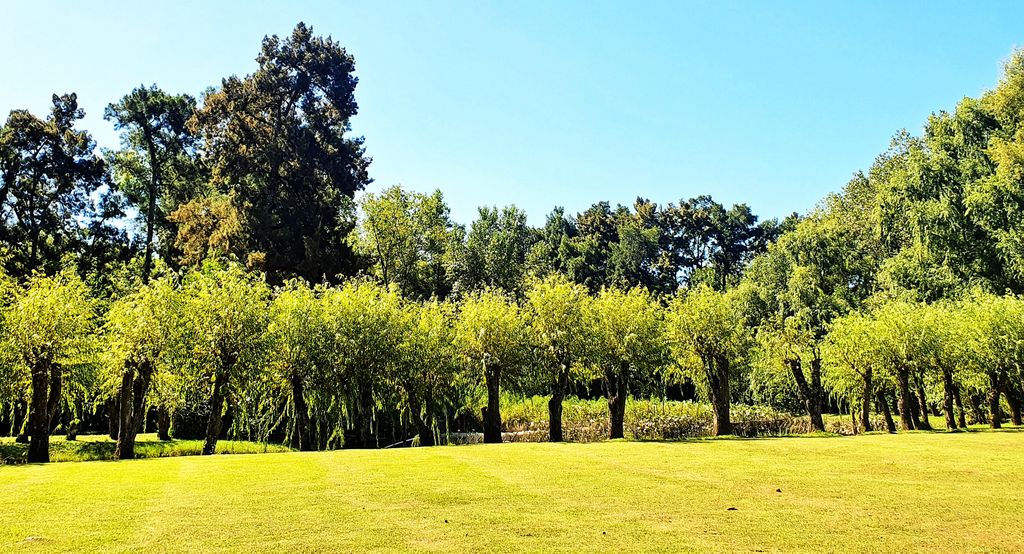 Der Garten vom Restaurant Gato Blanco im Tigre-Delta