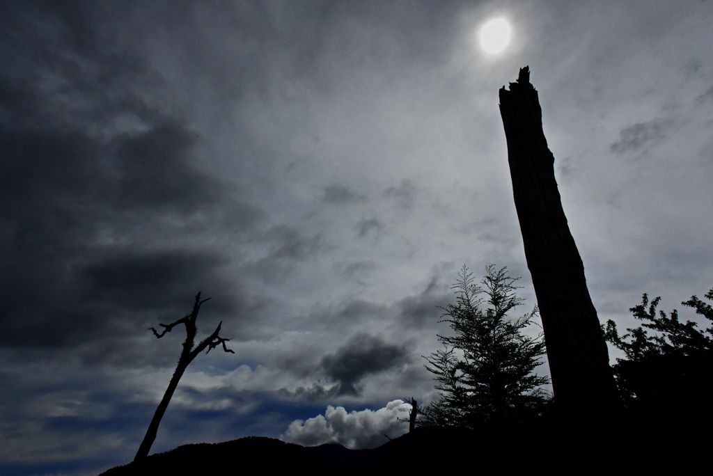 Apocalypse Now im Pumalin Douglas Tompkins National Park
