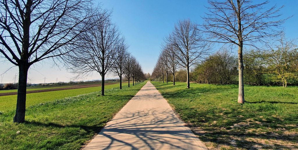 Unterwegs in der Umgebung von Hochheim