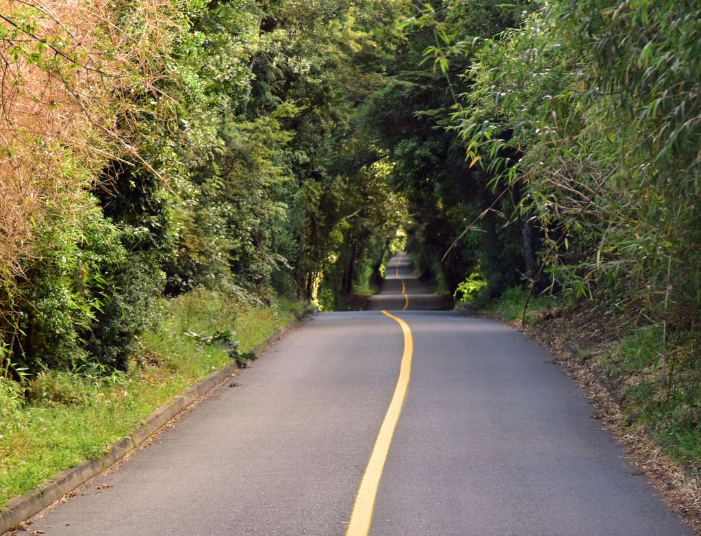 Auf dem Weg zum Vulkan Osorno