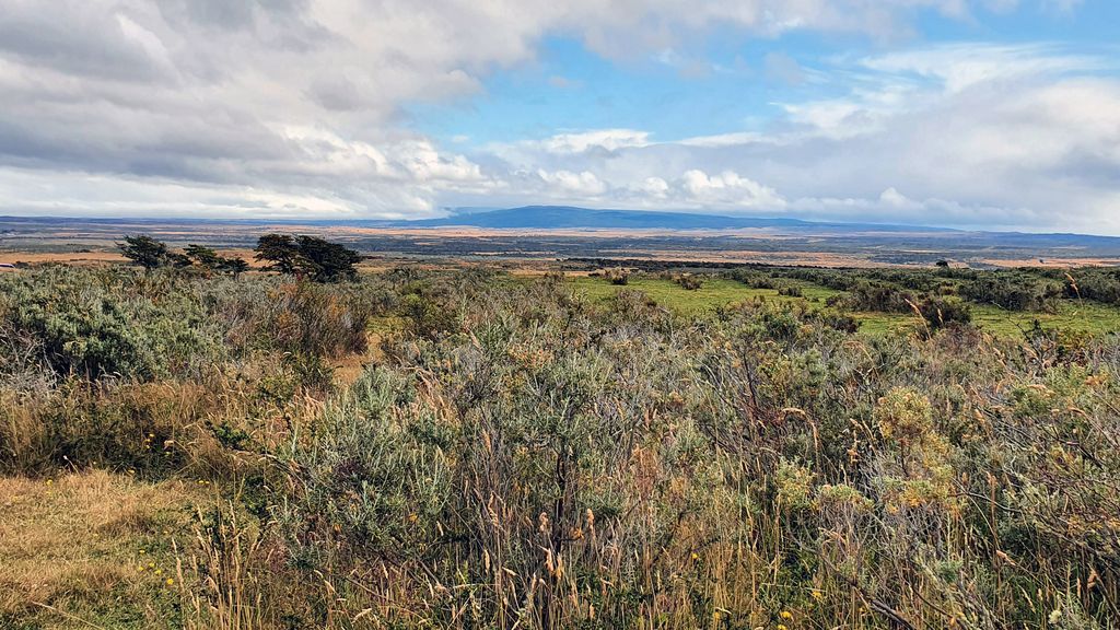 Die unendliche Weite von Patagoniens Steppe