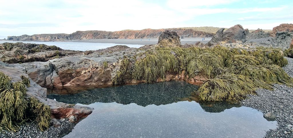 Lavafelsen am Strand von Djúpalónssandur