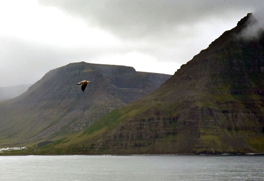 In den Westfjorden in Island