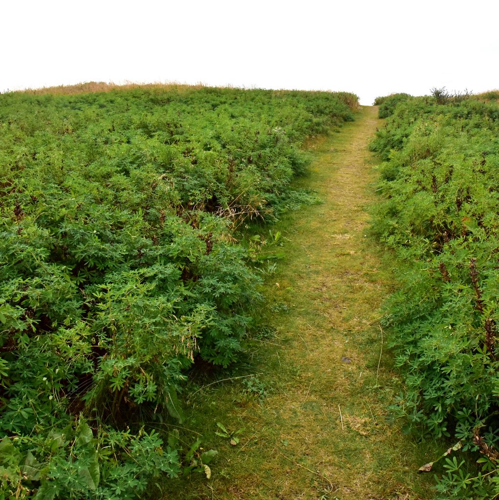 Unterwegs auf dem „Lava Field Trail“ in Vopnafjörður