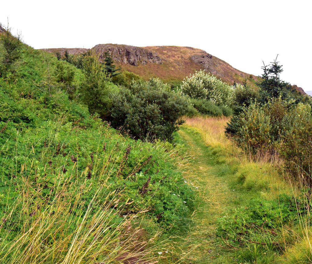 Felsformationen auf dem „Lava Field Trail“ in Vopnafjörður