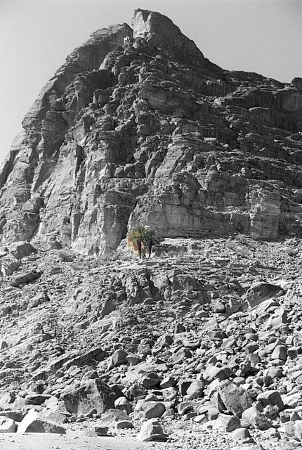 In der Wüste 'Wadi Rum'