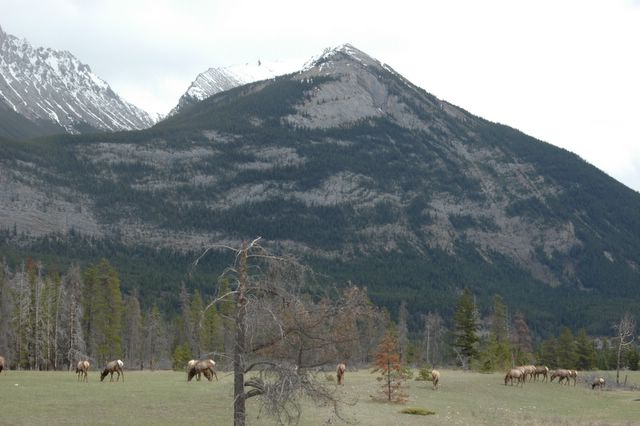 Die Rocky Montains