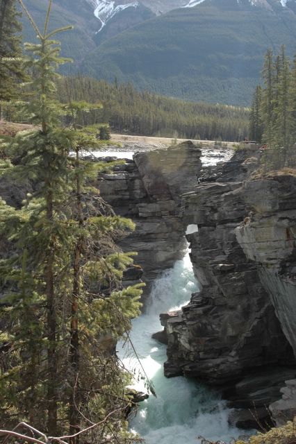 Die Athabasca Falls
