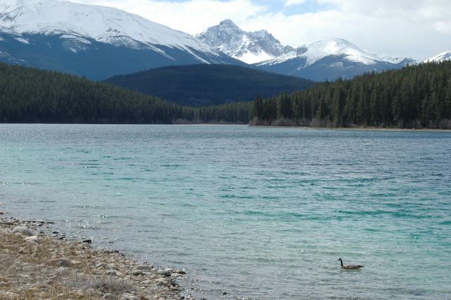 Der Patrica Lake (für uns zu kalt zum Baden)