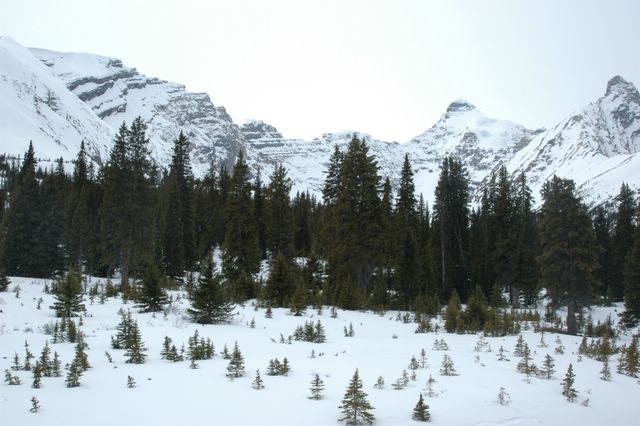 Schnee in den Rockies