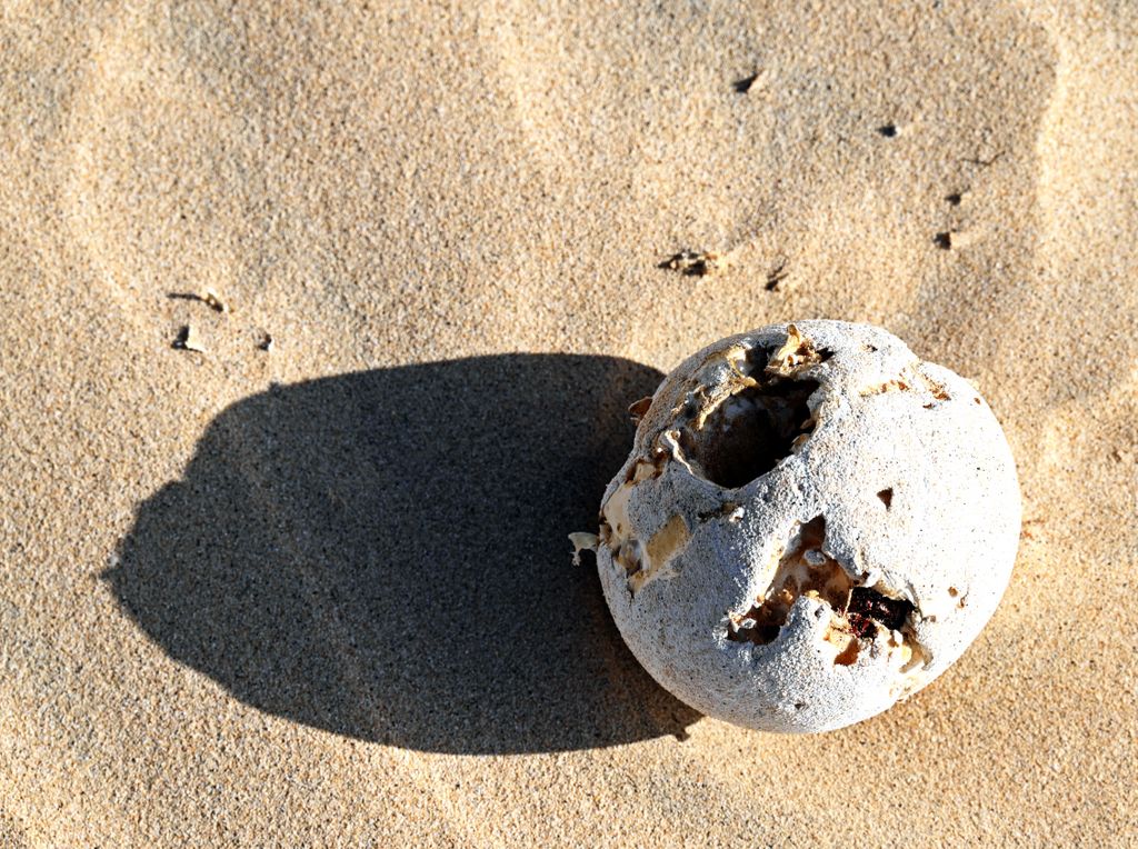 Eine Kugel in der Deserto de Viana auf Boa Vista, Kapverden