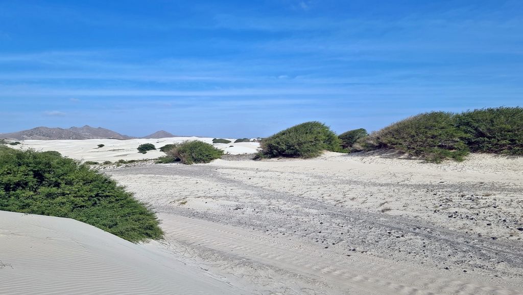 In der Deserto de Viana auf Boa Vista, Kapverden