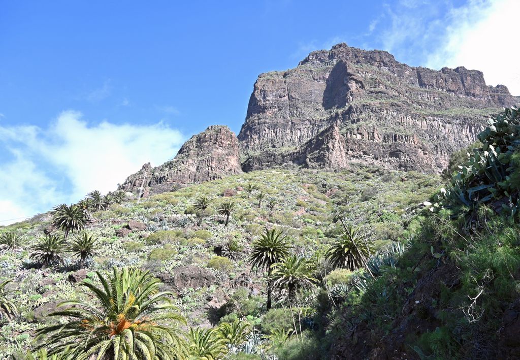 Blick auf das Teno-Massiv auf Teneriffa