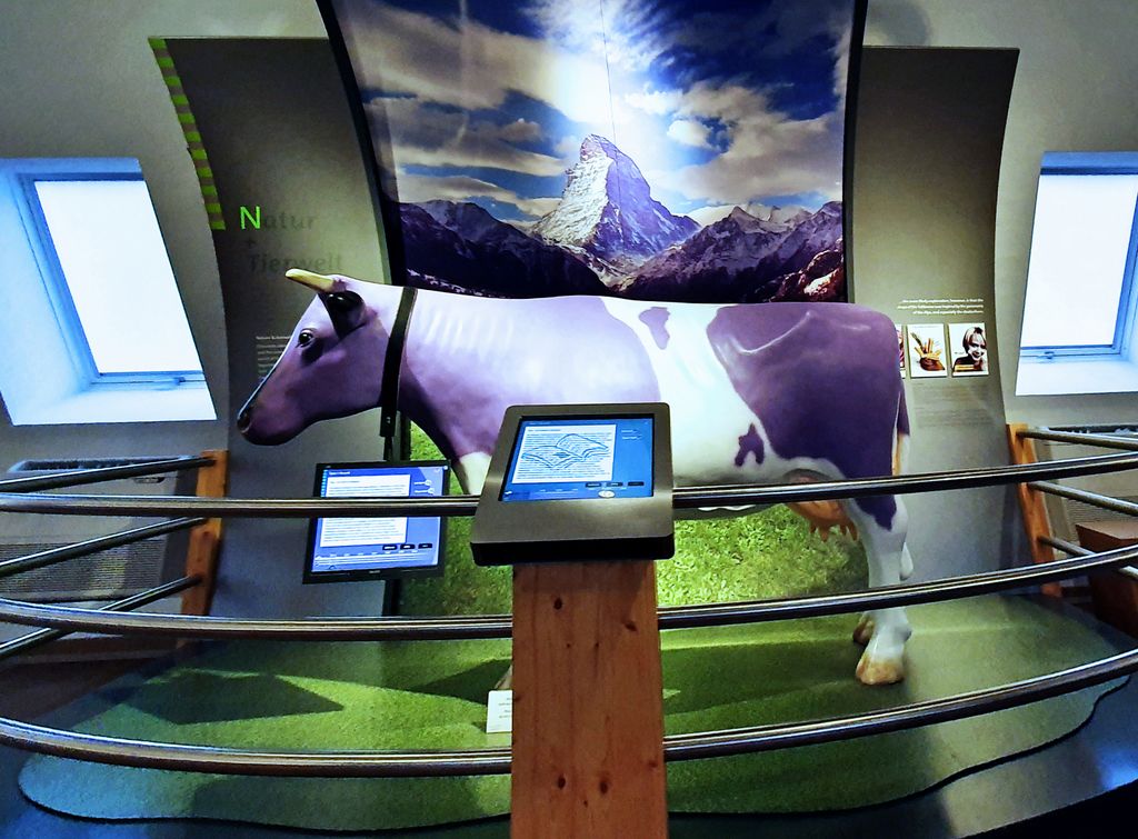 Die Milka Kuh im Schokoladen-Museum von Köln