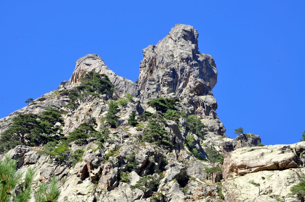 In der Tavignano-Schlucht