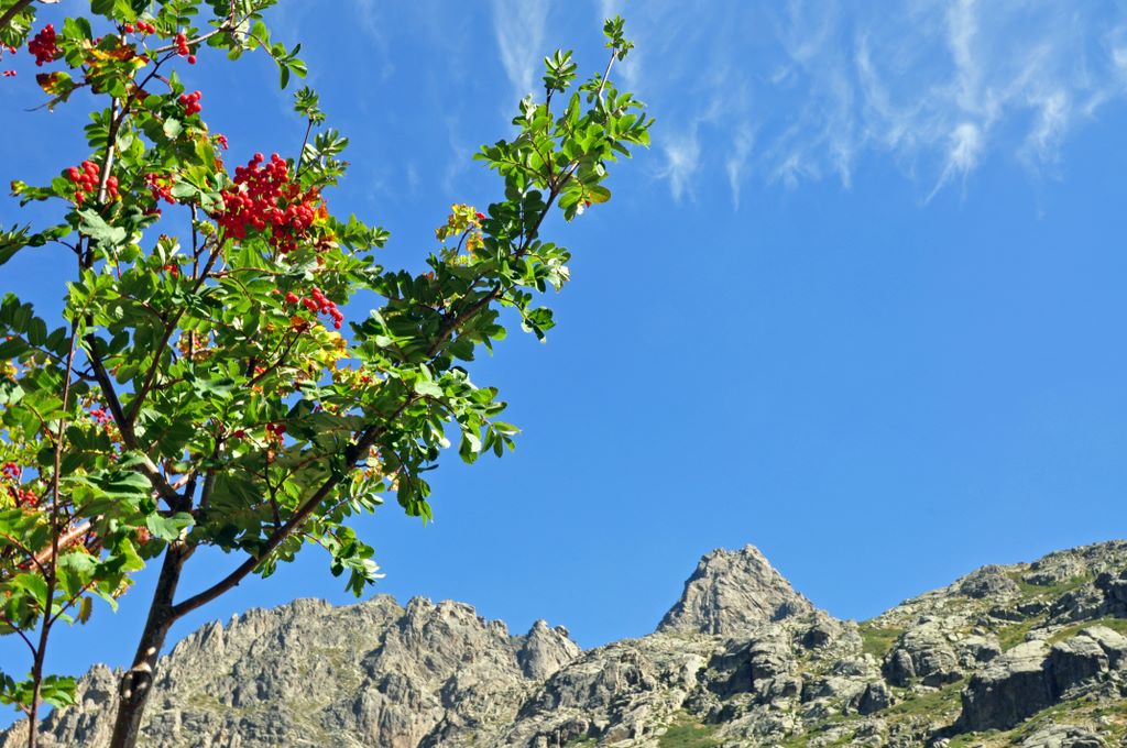 In der Tavignano-Schlucht