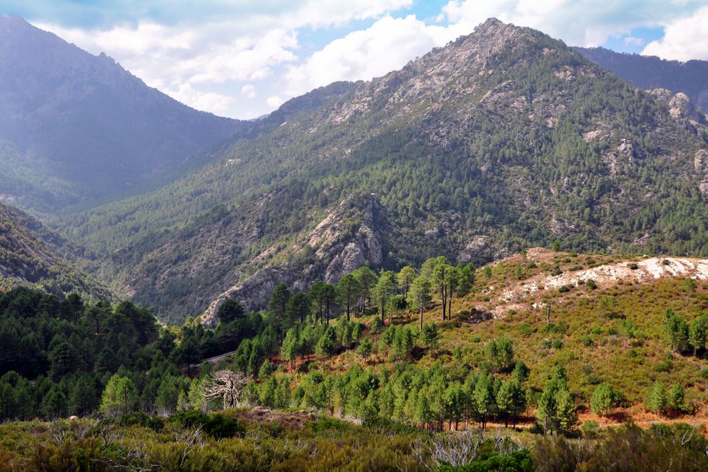 In den Bergen von Korsika