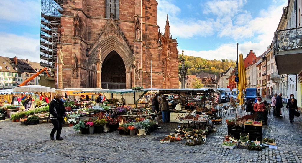 Der Münstermarkt in Freiburg