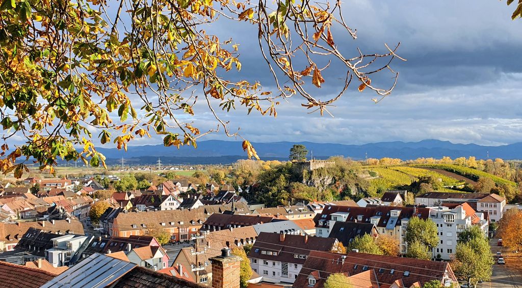 Der Eckartsberg in Breisach