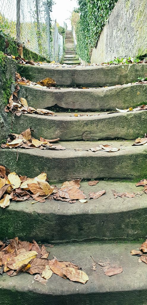 Die Treppen zum Eckartsberg in Breisach