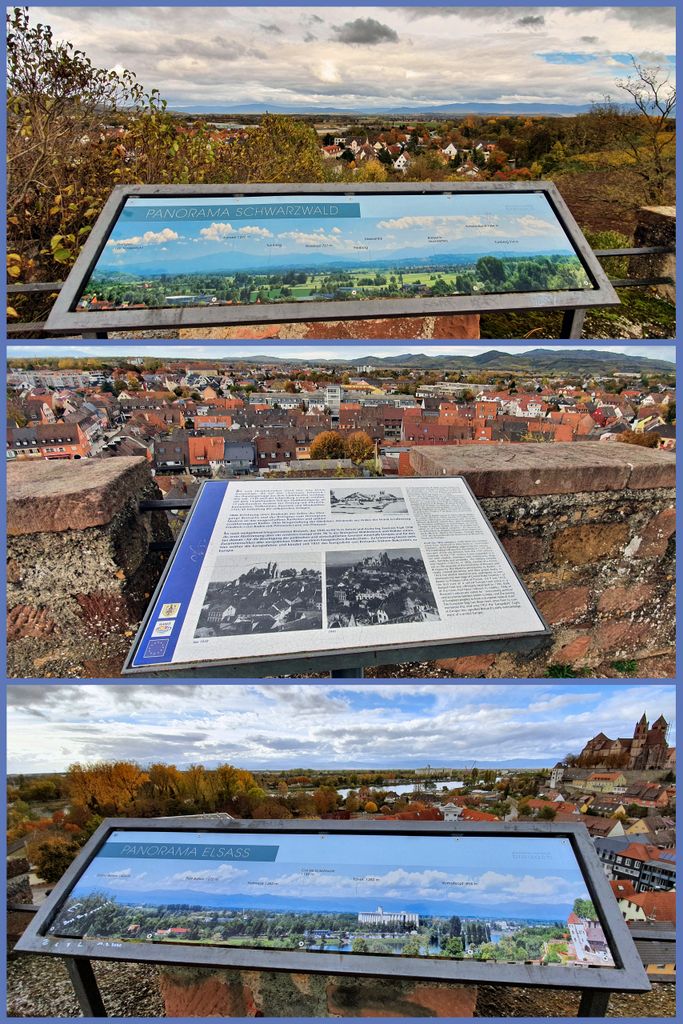 Blick auf den Schwarzwald, Breisach und Elsass