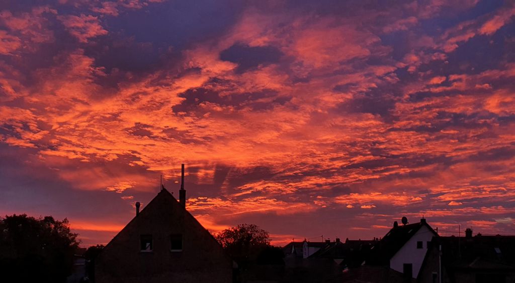 Sonnenaufgang in Hochheim