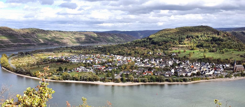 Blick auf eine Rheinschleife