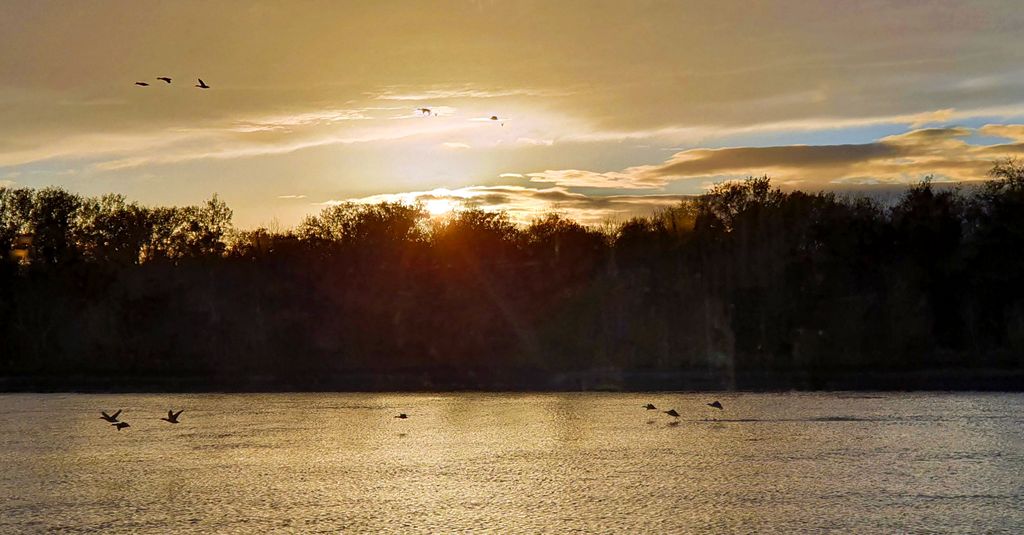 Sonnenuntergang am Rhein