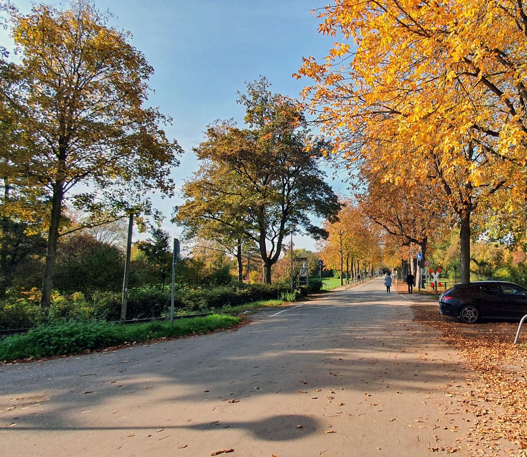 Auf dem Weg zum Dom in Speyer