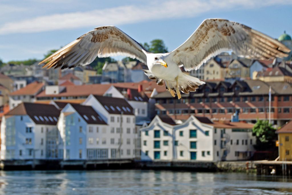 In Bergen / Norwegen