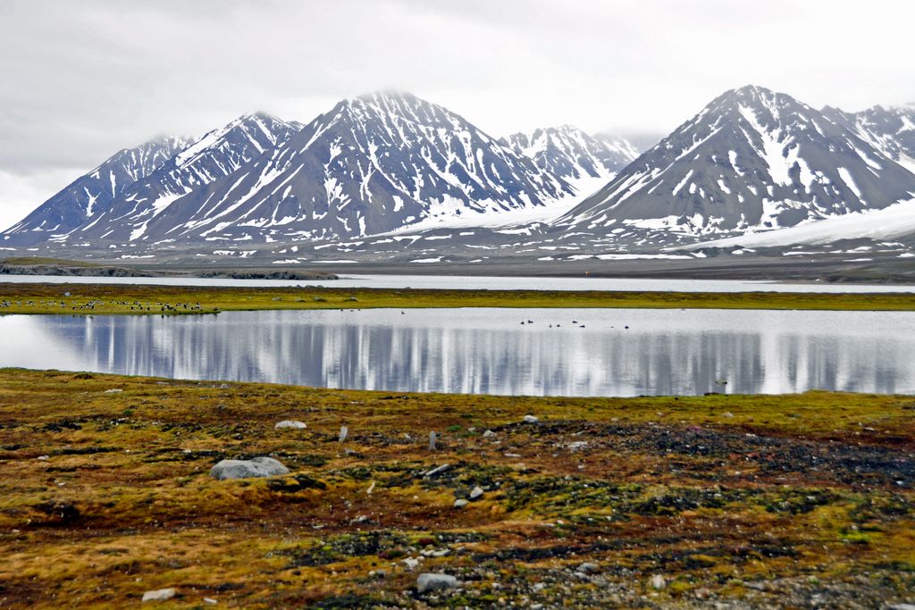 Blick auf Ny-Ålesund / Spitzbergen