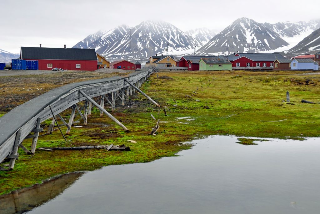 Ny-Ålesund / Spitzbergen