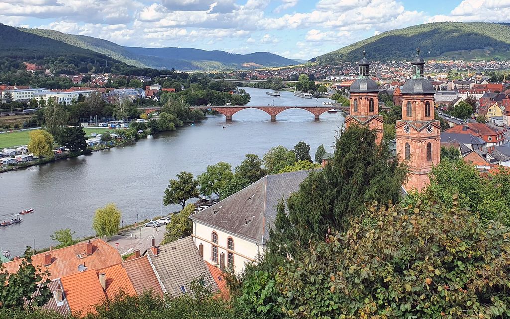 Blick von der Miltenburg auf Miltenberg