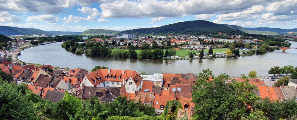 Blick von der Miltenburg auf Miltenberg