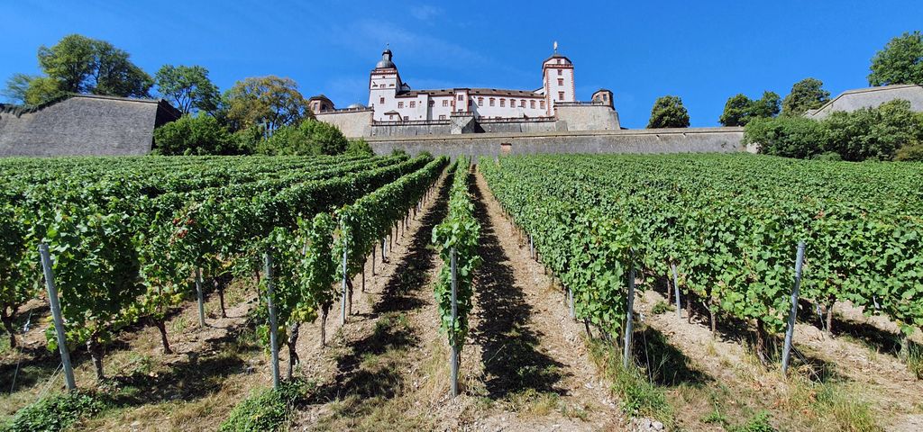 Blick auf die Festung Marienberg in Würzburg