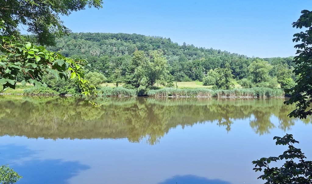 Spiegelungen auf dem Main