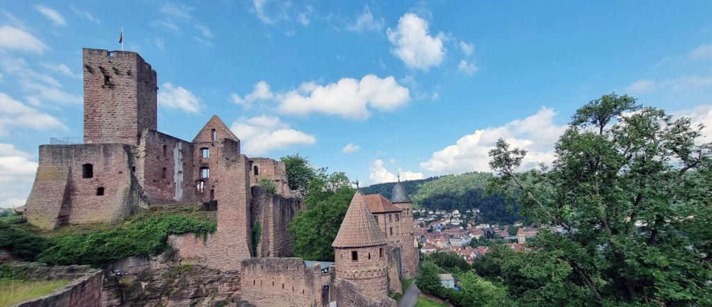 Blick auf die Burg Wertheim