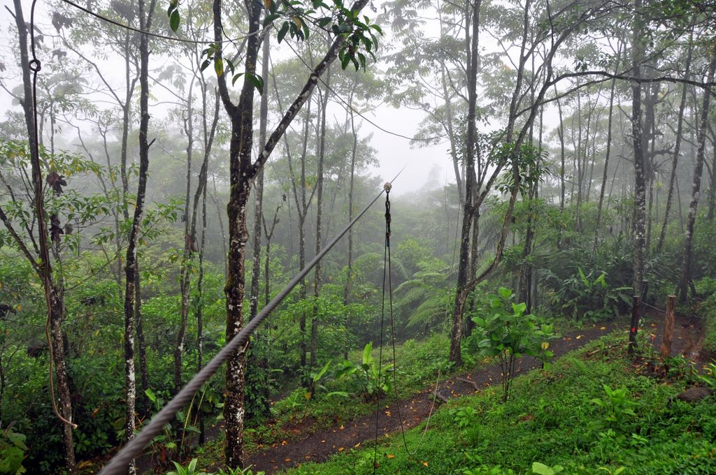 Canopy in Costa Rica