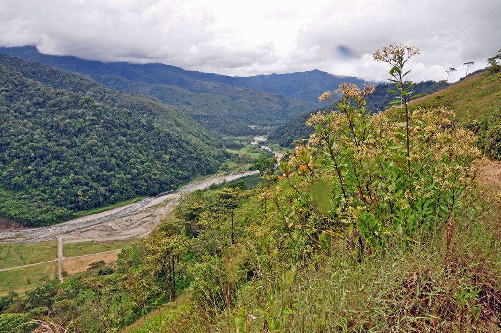 Der Tapantí National Park, Costa Rica