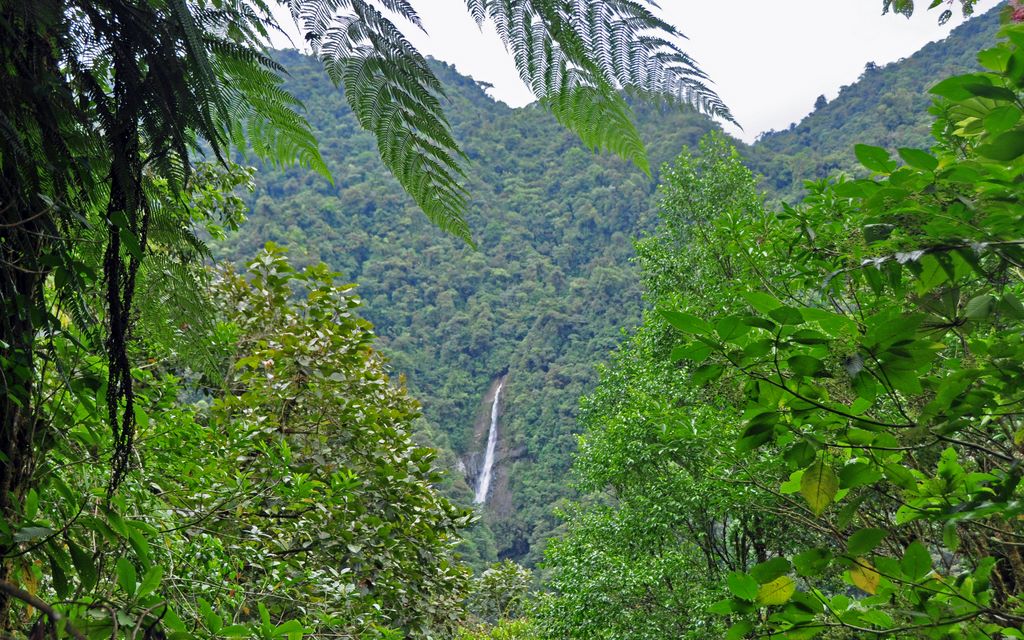 Der Tapantí National Park, Costa Rica