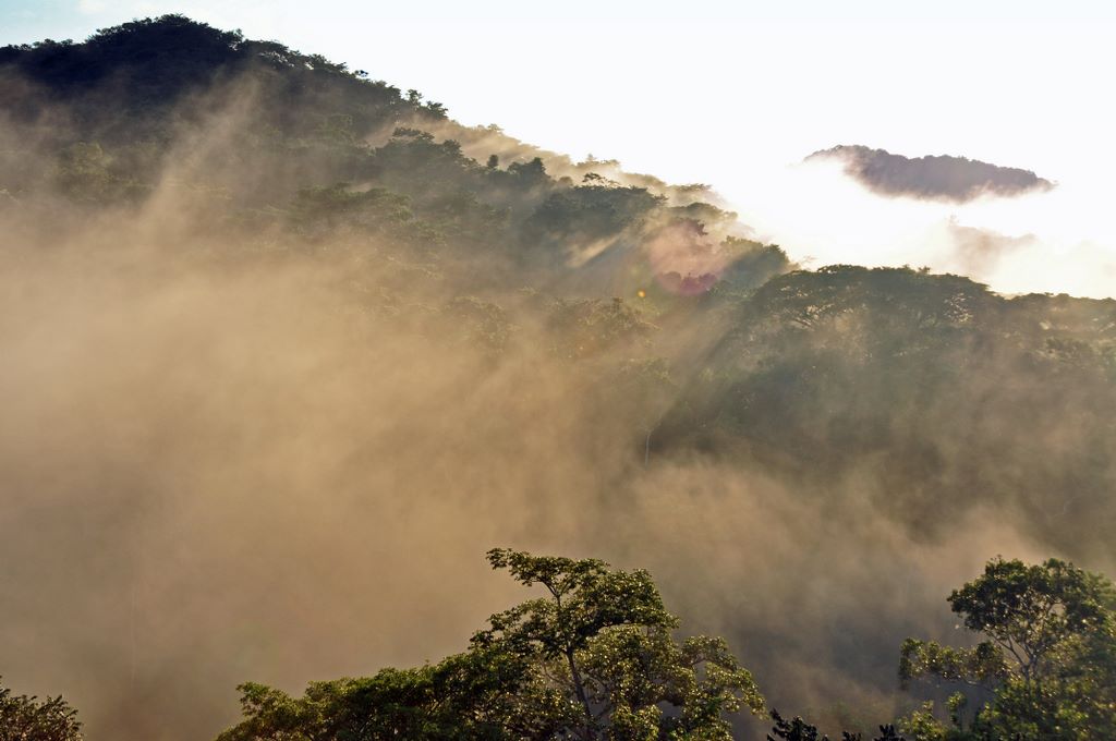 Blick auf den Dschungel in Panama