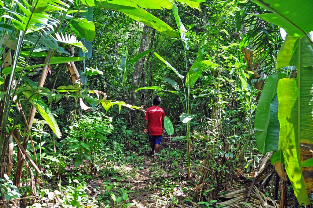 Flora und Fauna von Panama