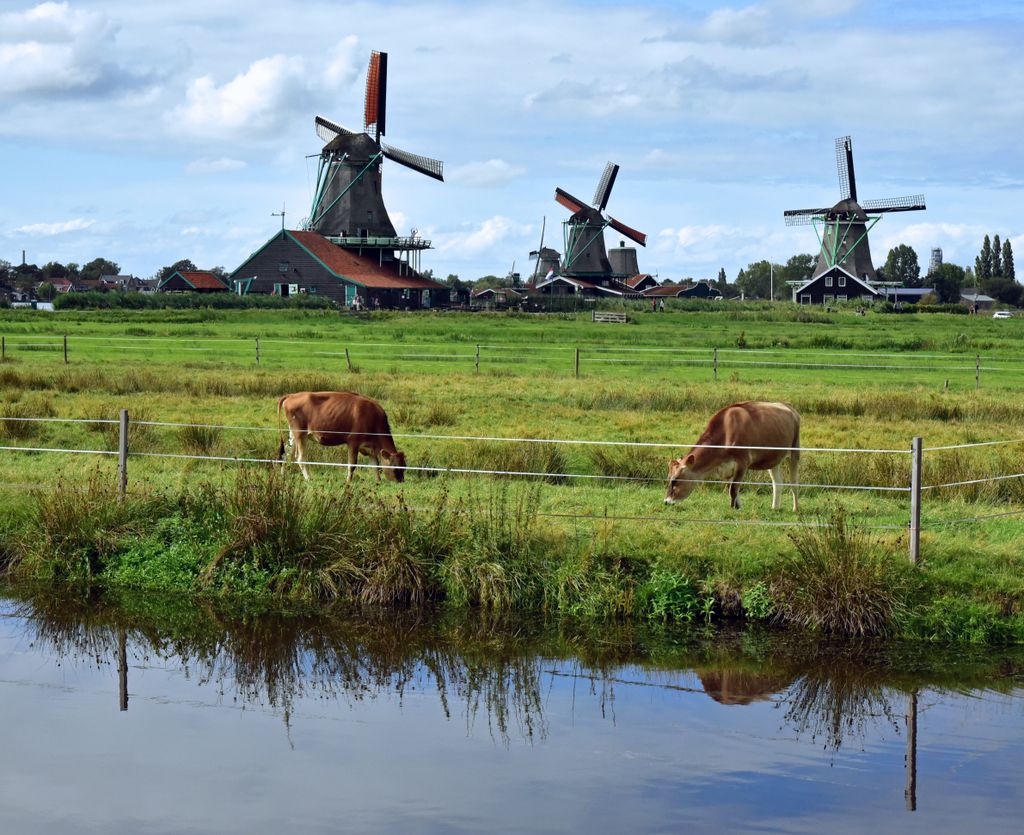 Windmühlen im Freilichtmuseum Zaanse Schans