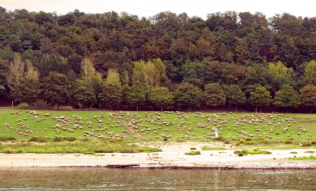 Auf dem Weg nach den Niederlanden