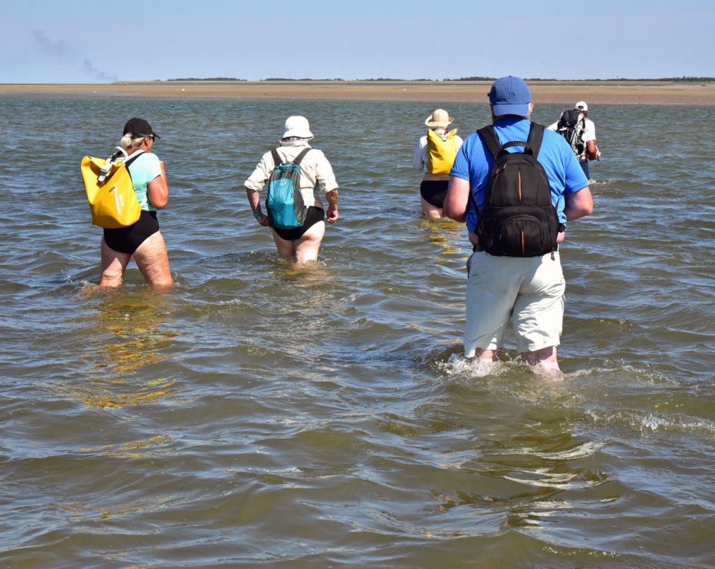 Auf einer Wattwanderung von Amrum nach Föhr